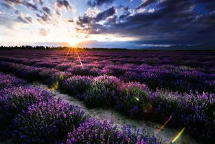 逃离长沙的鬼天气 7月份中国最美的风光都在这啦