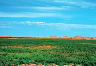 美丽中国先锋榜 18 内蒙古杭锦旗库布其沙漠治理创新实践