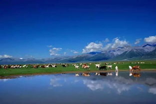 去赛里木湖别只拍照,环湖骑车 坐直升机 乘热气球 想怎么玩就怎么玩