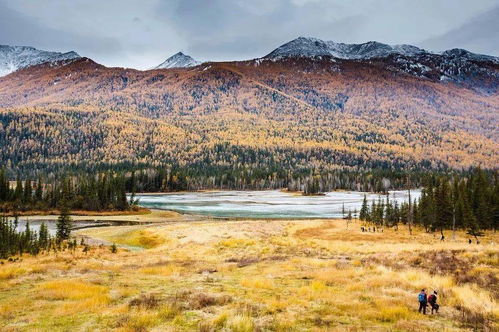 绚丽秋色 北疆之美,9月可期