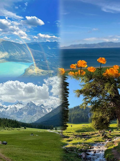 新疆口碑最好的旅行社排行榜 乌鲁木齐十佳旅行社推荐