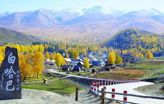 新疆的生活环境怎么样