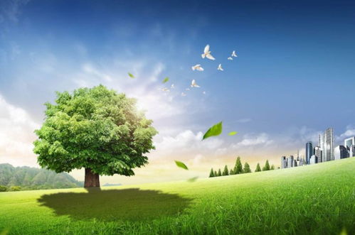 11 21 晴丨冷空气降水降温来了 乌鲁木齐24日至28日投放储备肉 加拿大小伙为新疆美食打call...