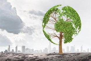 发布实施方案 今年新疆将启动生态环境损害赔偿制度改革试行工作