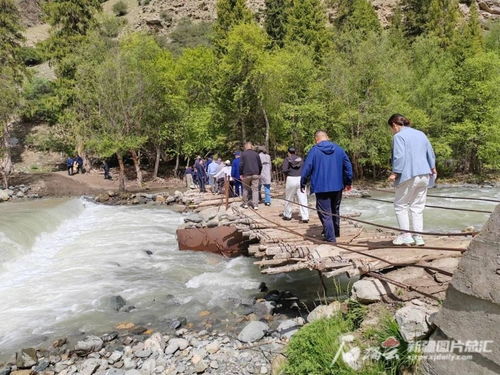 昭苏县湿地生态保护成效显著，动植物种群数量稳步扩大