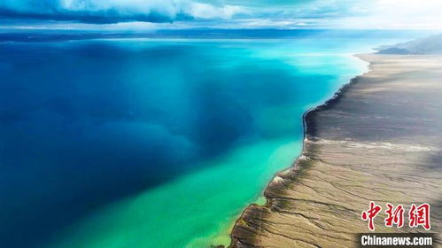 阿尔金山 生态画卷徐徐展开 野生动物家园焕新颜