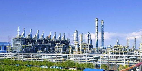 建设花园工厂，守护天山碧水——新疆独山子石化公司以生态文明建设彰显央企责任担当