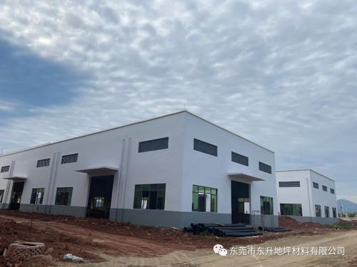 聚力共赢 再筑新章丨东升地坪年产10万吨环保建筑涂料化工厂即将在新疆投产