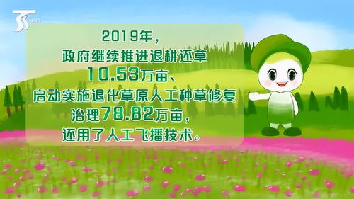 守护家园的绿色旋律 新疆生态五兄妹的环保之旅